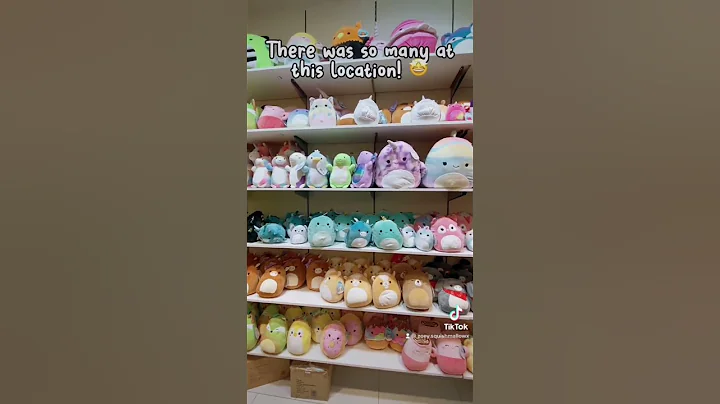 CONNOR WAS $50! 😤 #squish #squishhunt #squishmallows #viral #squishmallow #mall #bonkers