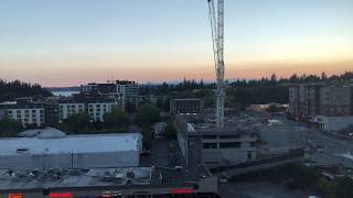 Bellevue Night Life