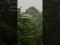 june and monsoon 🍃⛈️#foryou #trendingnow #trendingshorts #viral #ytshorts #ytshortsindia #music