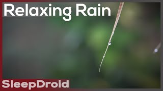 ► Rain Up Close | Relaxing Heavy Rain Sounds for Sleeping and Studying (No Thunder) ~ Lluvia