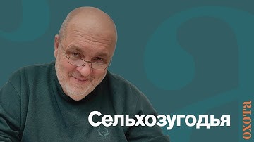 Сельхозугодья. Валерий Кузенков об охоте в частных владениях.