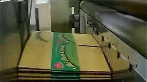 Flexo Folder Gluer In line system