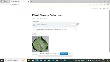 Plant Disease Detection Streamlit app
