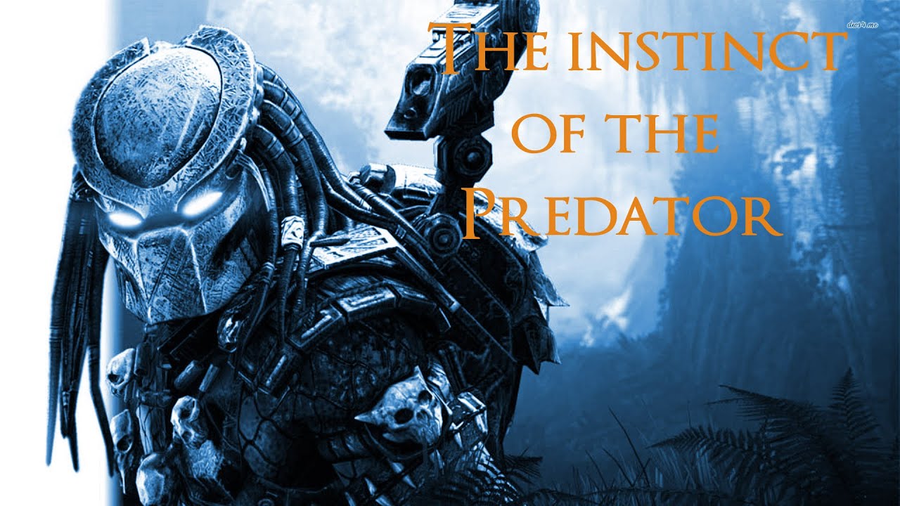 Dark Souls II - The Instinct of the Predator ( W/ Abyss Gravelord)