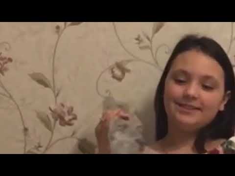 Открываем Подарки На Новый Год