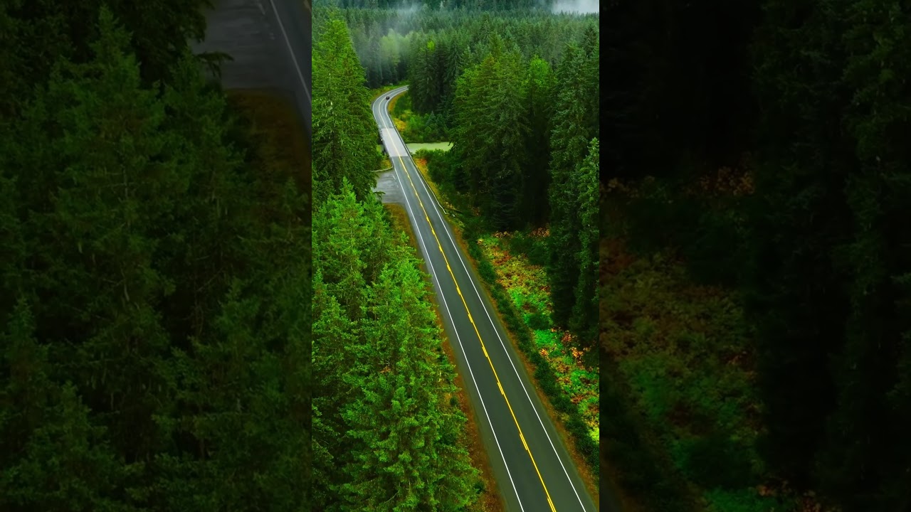 Few places in Southeast Alaska combine river, beach, rainforest, and high alpine terrain in one view