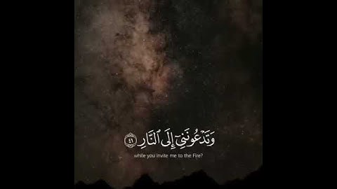 تلاوة خاشعة 🌸 || حالات واتس اب قران || سورة غافر