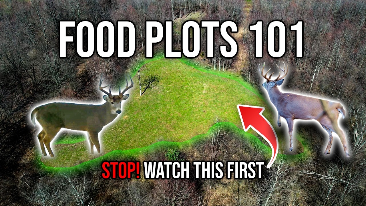 8 Food Plot Rules That Actually Work - YouTube