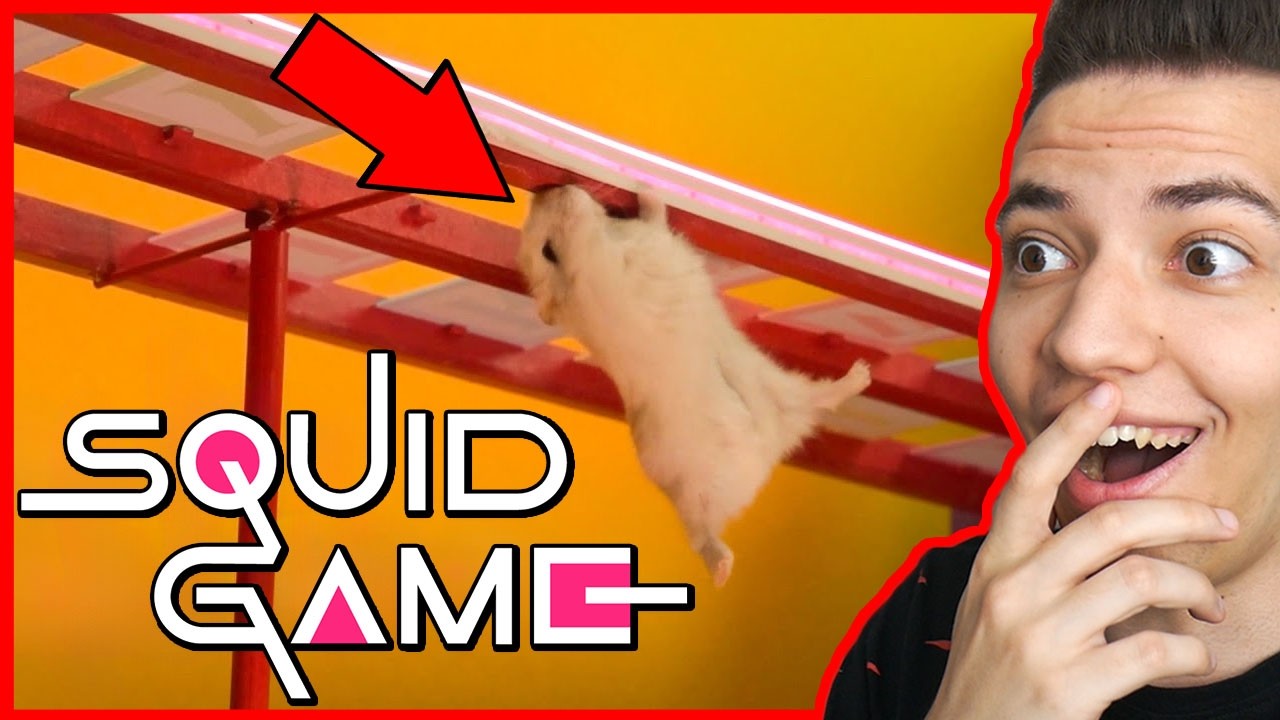 SQUID GAME VÉGJÁTÉK ÚJRAALKOTVA... HÖRCSÖGÖKNEK! 😱 / NYERD MEG AZ ÉLETED: HÖRCSÖG KIADÁS! 😆