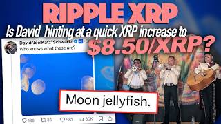 Ripple XRP: Moon Jellyfish? Is David Schwartz Hinting At A Quick XRP Increase To $8.50/XRP?