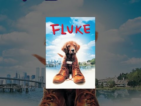 Fluke