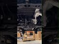 [皇家汽車烤漆 Royal Automotive Paint ] 排氣管防鏽 / 底盤防鏽專家
