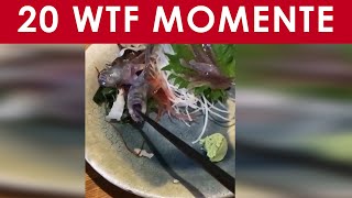 20 Wtf Moments