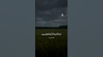 #القارئ_محمد_خالد #إشتراك #قرأن_كريم #fortnite #foryou #quran #quran #funny #fyp #islam #أسيوط 🤍🎧