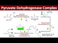 Pyruvate dehydrogenase complex usmle firstaid #biochemistry #fcps #jcat #viralvideo #youtube