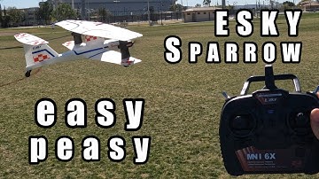 ESKY Sparrow Beginner Biplane EASY TO FLY 🛩️