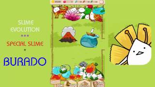 Slime Evolution - How to get Special Slime " Burado "