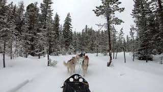 Sled Dogs Adventure | Husky Power Tirol | Gopro Hero 7 full HD