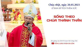 Sống theo Chúa Thánh Thần - ĐGM Giuse Bùi Công Trác | Lễ Ban Bí tích Thêm Sức