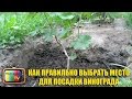 КАК ПРАВИЛЬНО ВЫБРАТЬ МЕСТО ДЛЯ ПОСАДКИ ВИНОГРАДА