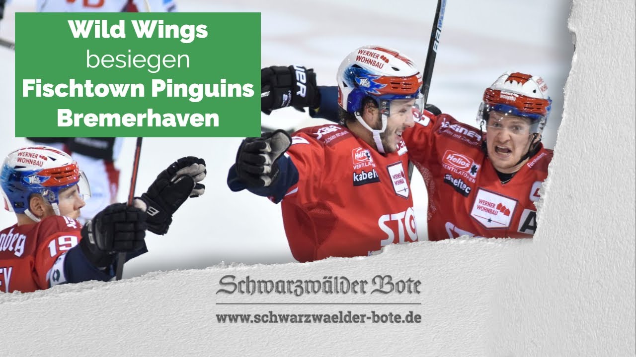 Eishockey Wild Wings besiegen Fischtown Pinguins Bremerhaven - Sport