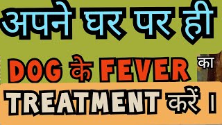 Dog fever Treatment at home and how to check dog fever।  घर पर ही डॉग का फीवर चैक करे और उसका ईलाज