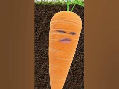 #морковка 😂 - YouTube