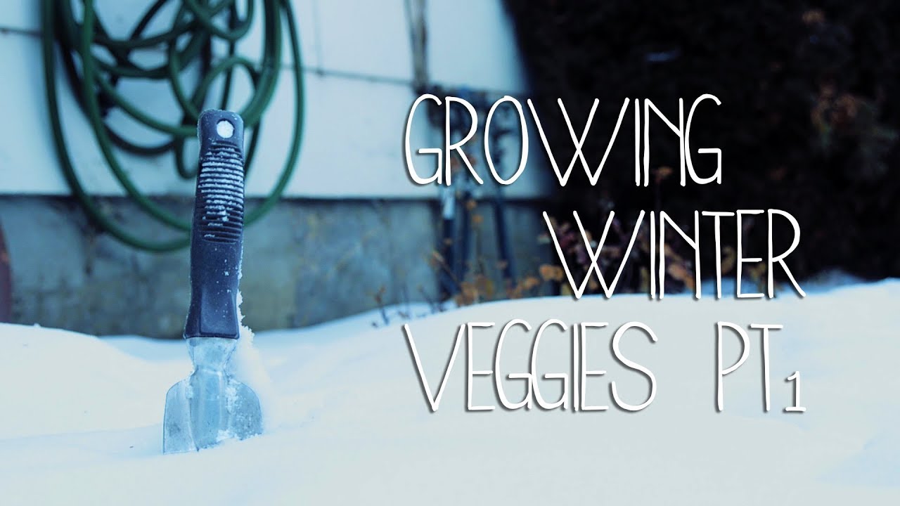 Winter Veggies Pt. 1 | DIY Grow Tent & Grow Lights