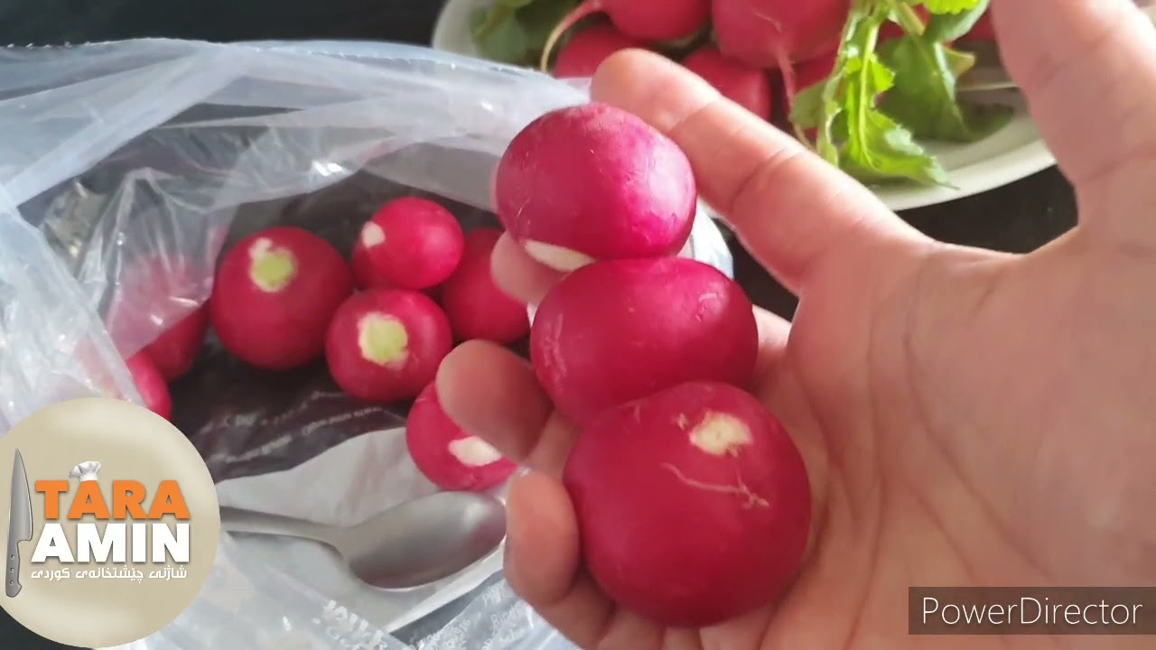 tara amin chonyati halgrtni sawzawat چۆنیەتی ھەڵگرتنی سەوزەوات لەسەلاجە