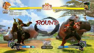 USF4 ▶ Damage Compilation