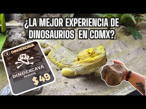 THE BEST DINOSAUR EXPERIENCE IN MEXICO CITY? HERE'S THE QUIZ