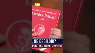 Sinan Meydanın Mahmut Esat Bozkurt Yorumu