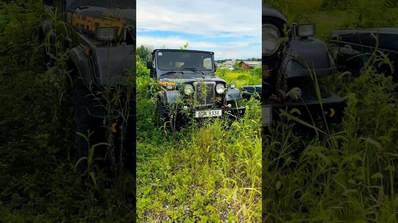 Южная Корея 