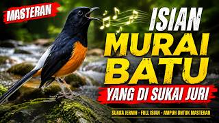 🔥 Masteran Murai Batu Full Tembakan Super Gacor | Pancingan Ampuh Buka Paruh | Suara Jernih HD