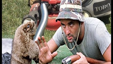 Kill gophers in less than 5 minutes without a trap