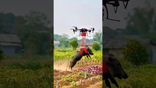 Magnetic Drone Technology – China’s Genius Way to Protect Crops 🌾#facts