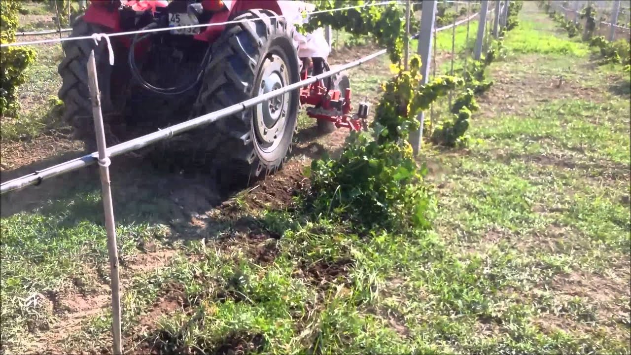 Ventral Interstocks /Intercepas Ventral