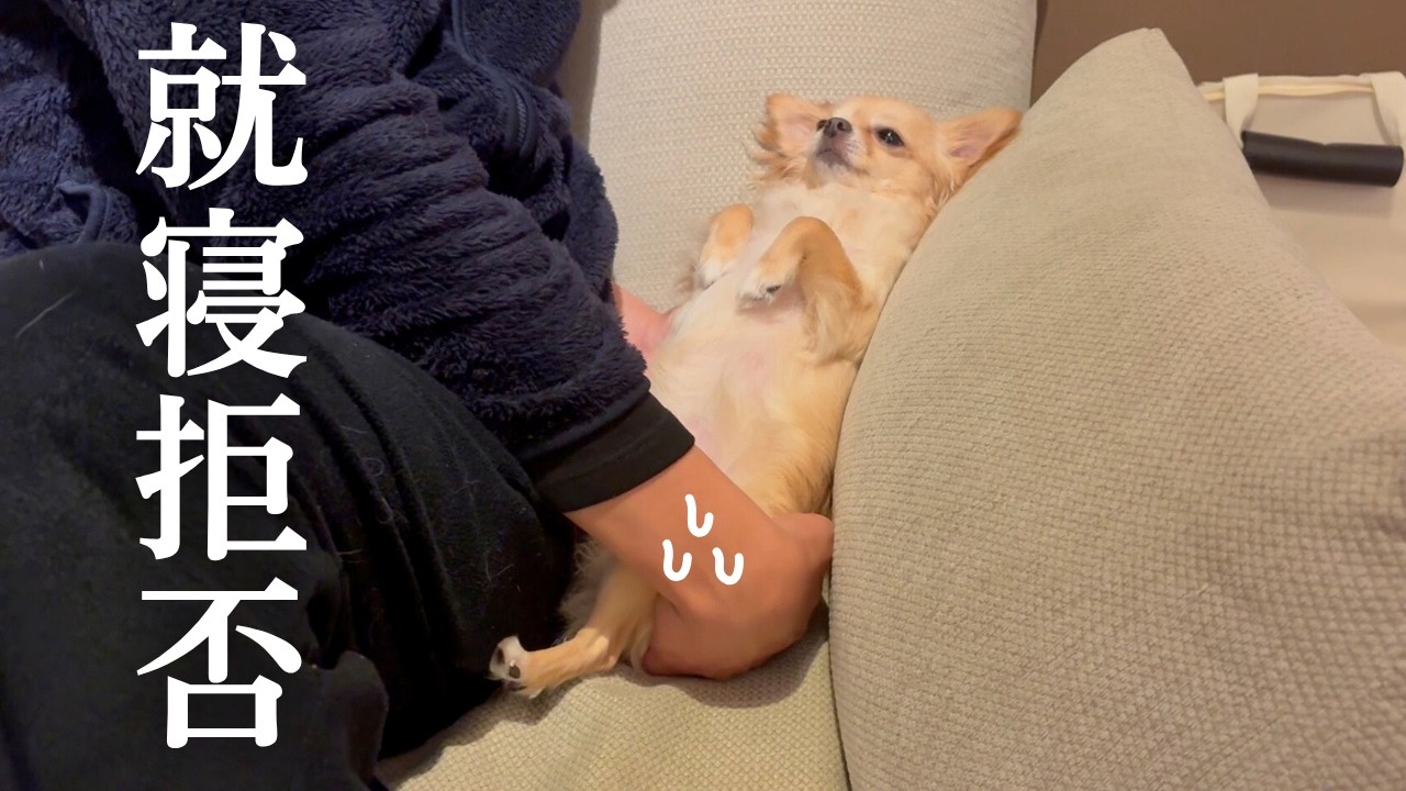 maxresdefault.jpg