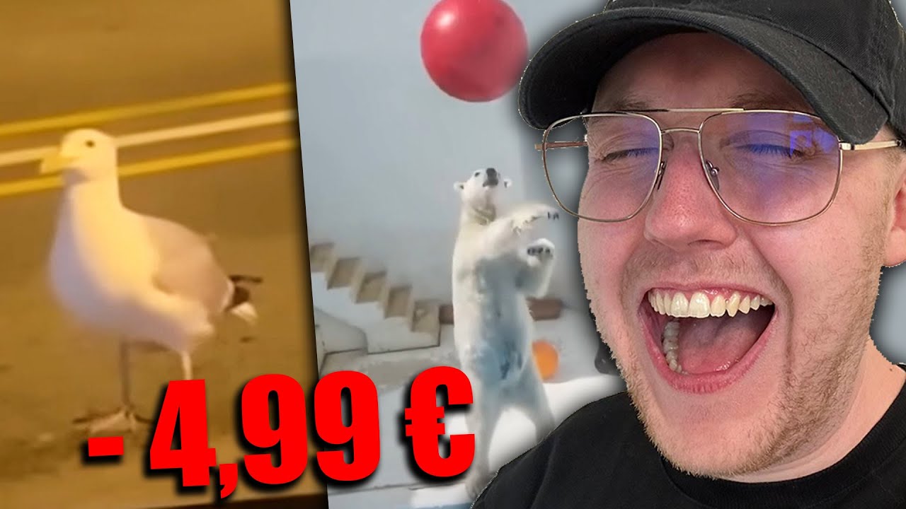 UNUSUAL MEMES aber Lachen = Sub Gifts 💀