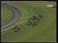 Affinity claims the 1984 Caulfield Cup