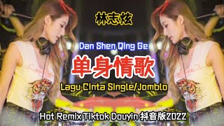 林志炫 -  单身情歌 Dan Shen Qing Ge【Lagu Cinta Single/ Single's Love Song】Hot Remix Tiktok Douyin 抖音版2022