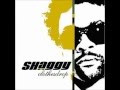 Supa Hypnotic - Shaggy ft Nicole Scherzinger