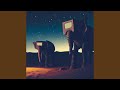 Elephants at night