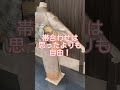 オススメ！卒園式入学式ママの着物帯コーデ術！ #shorts #レンタル着物 #訪問着 #色無地 #着物レンタル東京 ※概要欄にも詳細