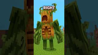 SECRET NAMES Actions & Stuff 1.7 UPDATE! #minecraft #shorts