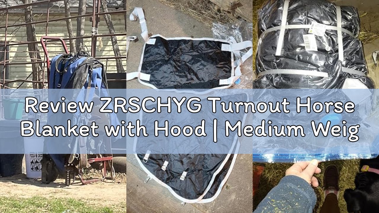 Review ZRSCHYG Turnout Horse Blanket with Hood | Medium Weight Winter Horse Blanket | 1200D Waterpro