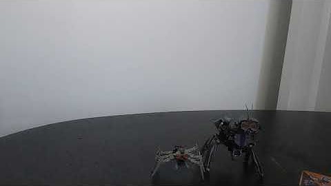 Dr.Wu MC-02 Microscope/ comparativa de tamaño