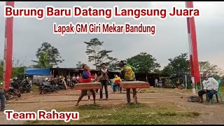 Merpati Nasional Bandung Lapak Gm Giri Mekar Team Rahayu