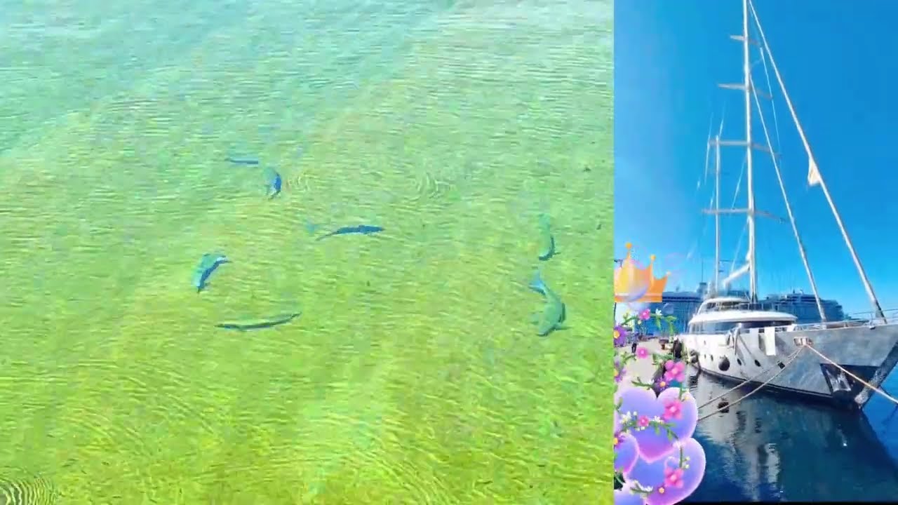 ДЕЛИКА🌿🌈🍒💎☀️ТЕСЫ - YouTube