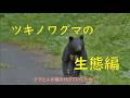 ツキノワグマ出前講座用動画（生態編）